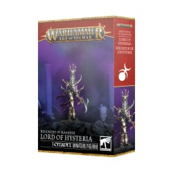 H/SLAANESH: SEIGNEUR DE...